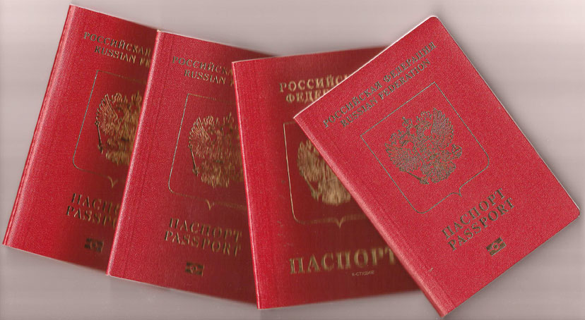 Виды заграничных паспортов в россии